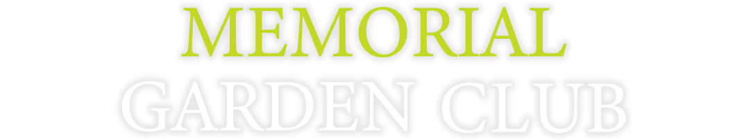 ¥á¥â¥ê¥¢¥ë¥¬¡¼¥Ç¥ó¥¯¥é¥Ö